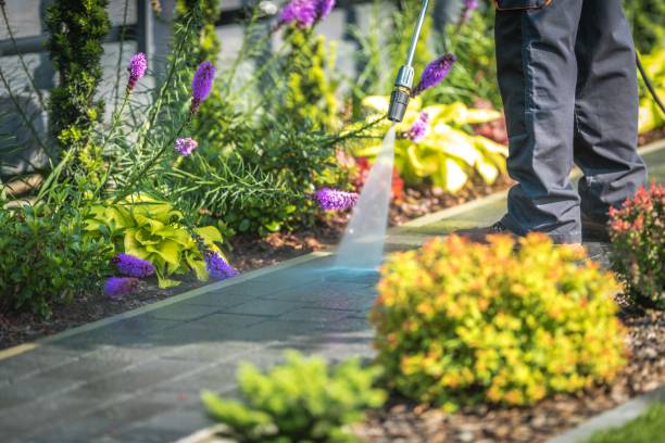 Winterizing Services in Iuka, MS