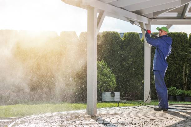 Best Fleet Vehicle Washing  in Iuka, MS