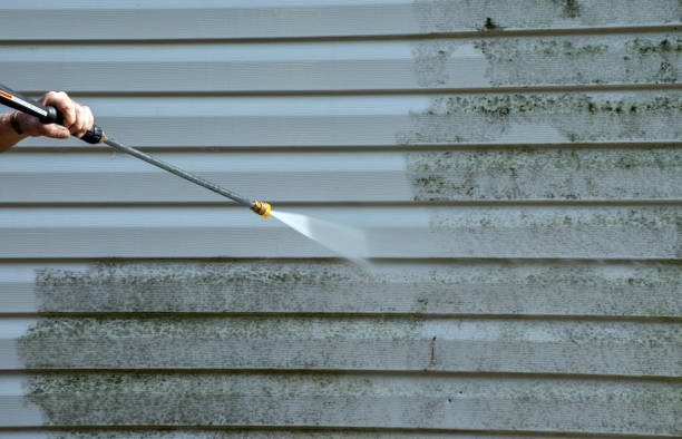 Best Driveway Pressure Washing  in Iuka, MS