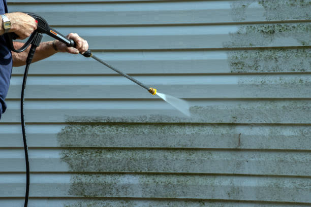 Best Patio and Deck Pressure Washing  in Iuka, MS